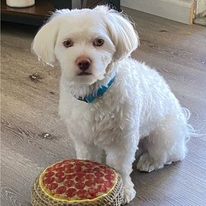 Meet your Posher, Gisela